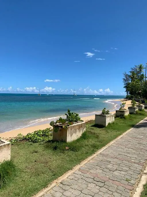 Excelente Apartamento En Las Terrenas, Playa Punta Popi. شقة