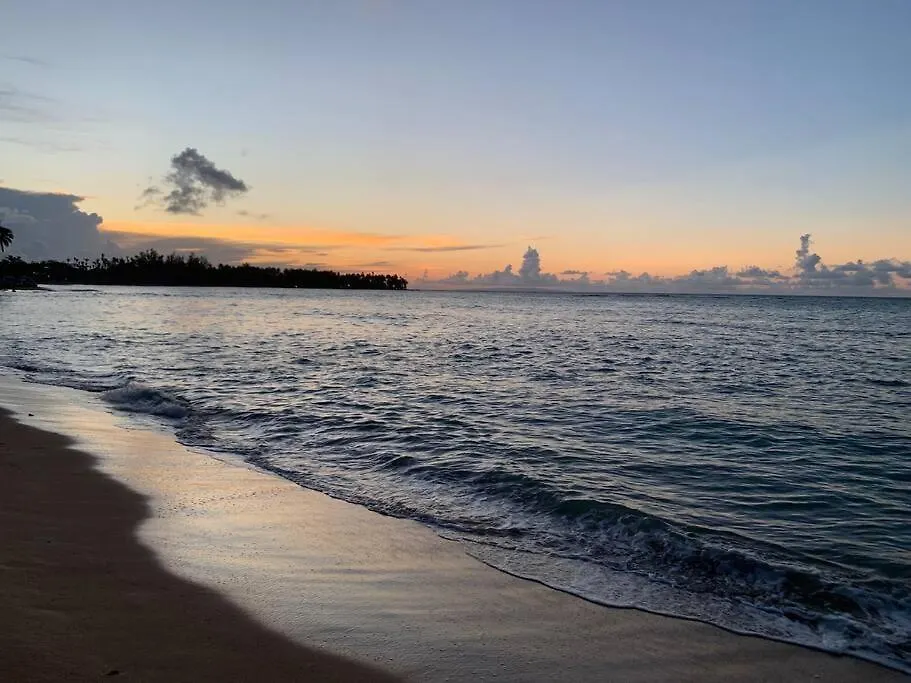 Excelente Apartamento En Las Terrenas, Playa Punta Popi. Appartement